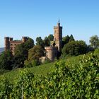 Schloss Ortenberg