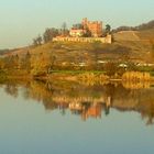 Schloß Ortenberg im Herbstlicht 2