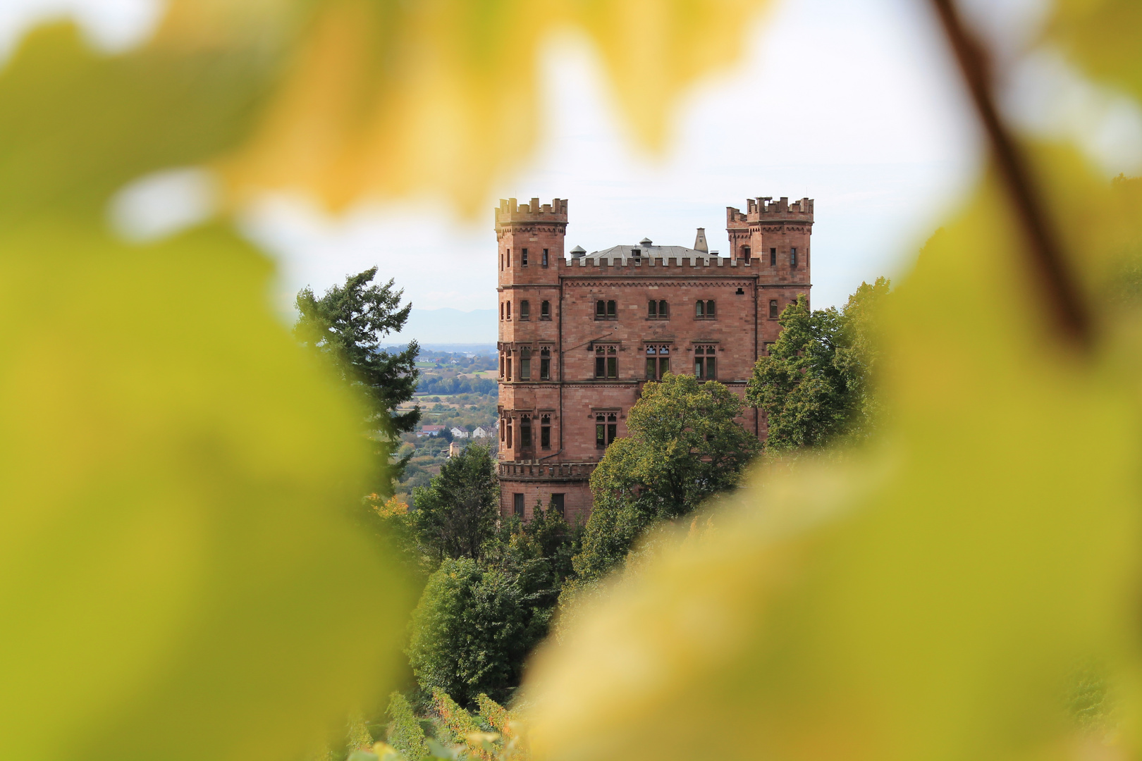 Schloss Ortenberg im Weinlaub