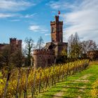 schloss ortenberg/baden