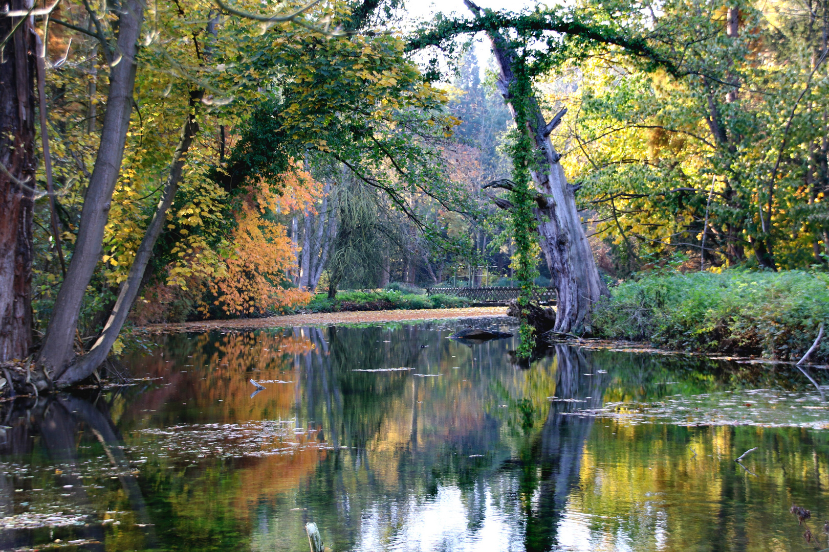 Schloß Paffendorf - Herbststimmmung am See