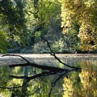 Schloß Paffendorf - Herbststimmung am See....