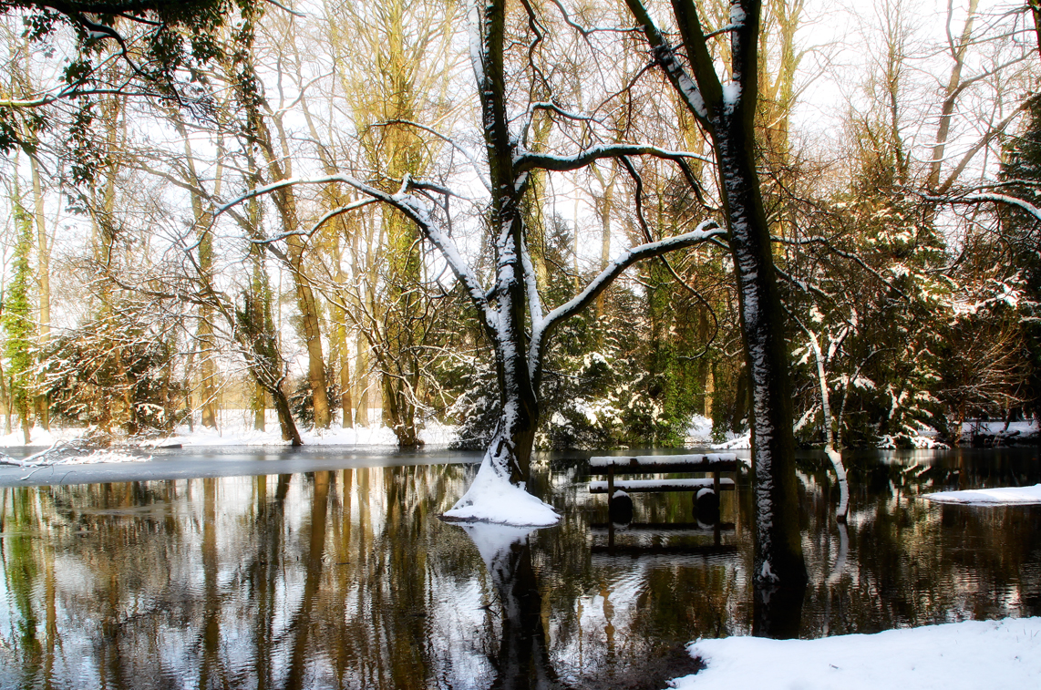 Schloss Paffendorf - Parkanlage im winter