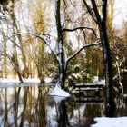 Schloss Paffendorf - Parkanlage im winter