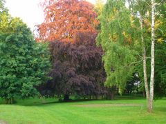 Schloss-Park in Wrangelsburg