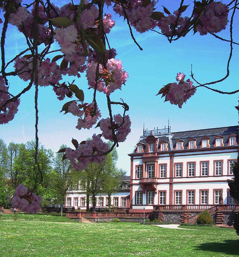 Schloss Philippsruhe