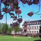 Schloss Philippsruhe