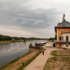 Schloss Pillnitz (7)