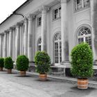 Schloss Pillnitz - Dresden