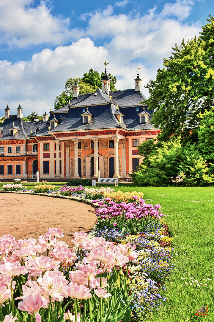 Schloss Pillnitz Dresden