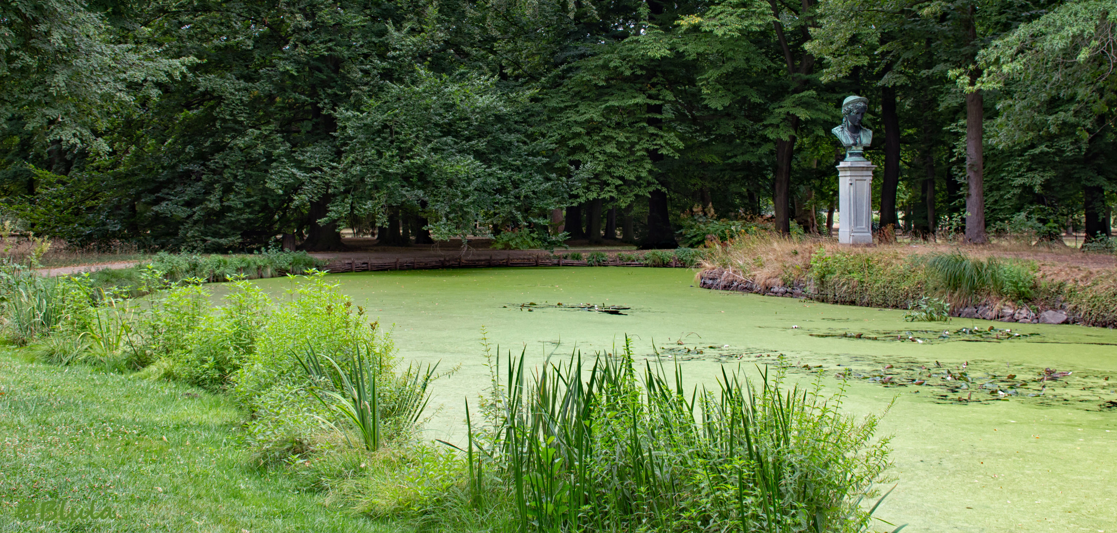 Schloss Pillnitz, Englischer Garten