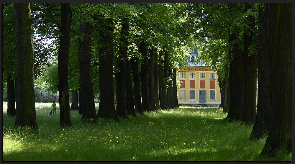 Schloss Pillnitz VIII