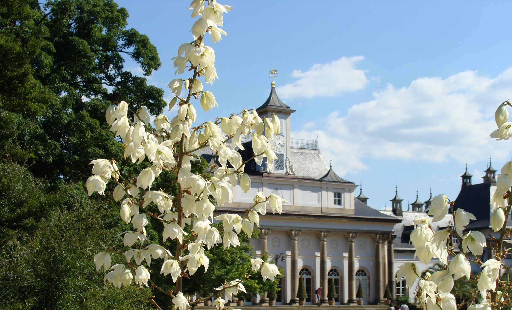 Schloß Pilnitz in Dresden