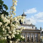 Schloß Pilnitz in Dresden