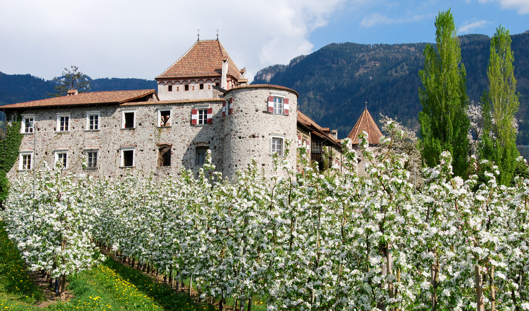 Schloß Planta 