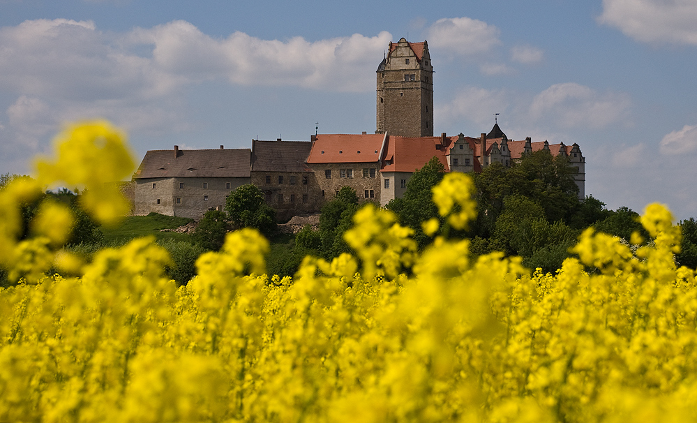 Schloss Plötzkau