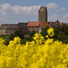 Schloss Plötzkau