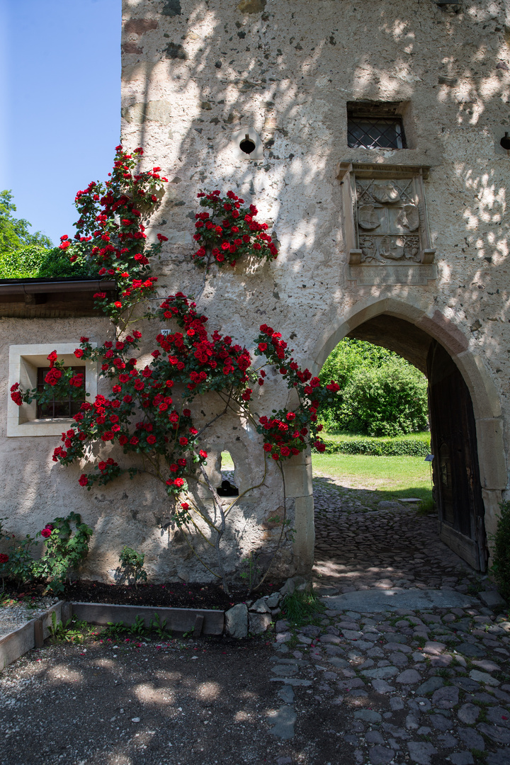 Schloß Prösels