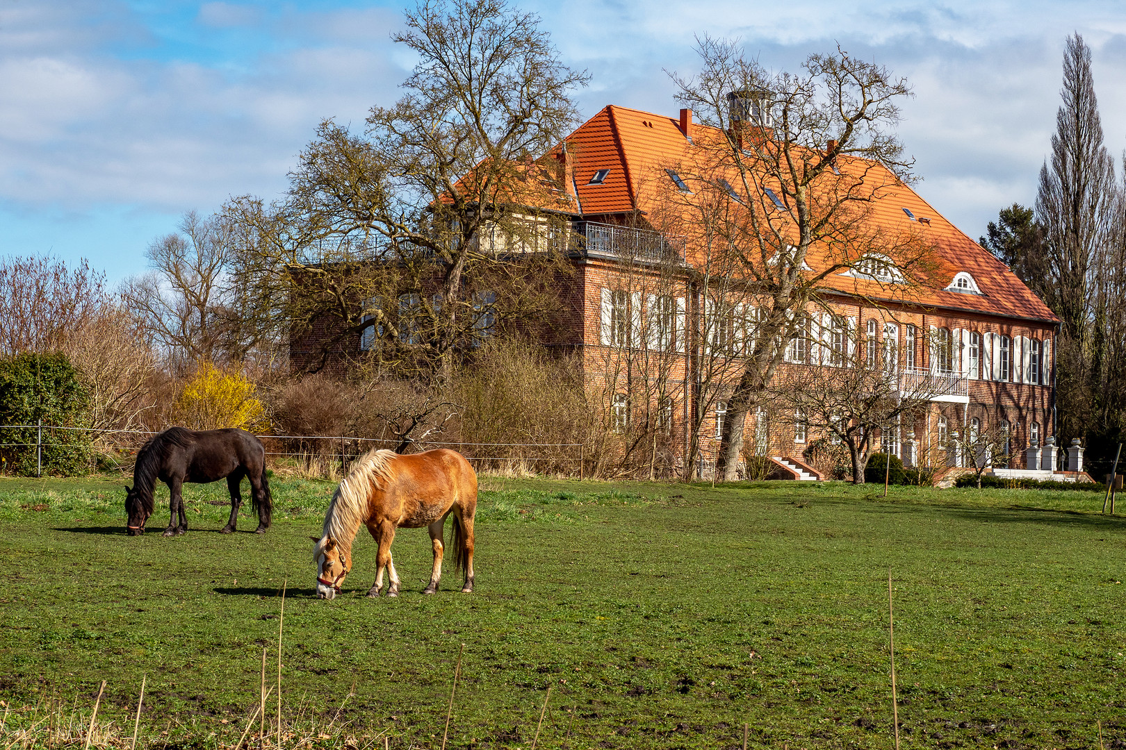 Schloß Pütnitz