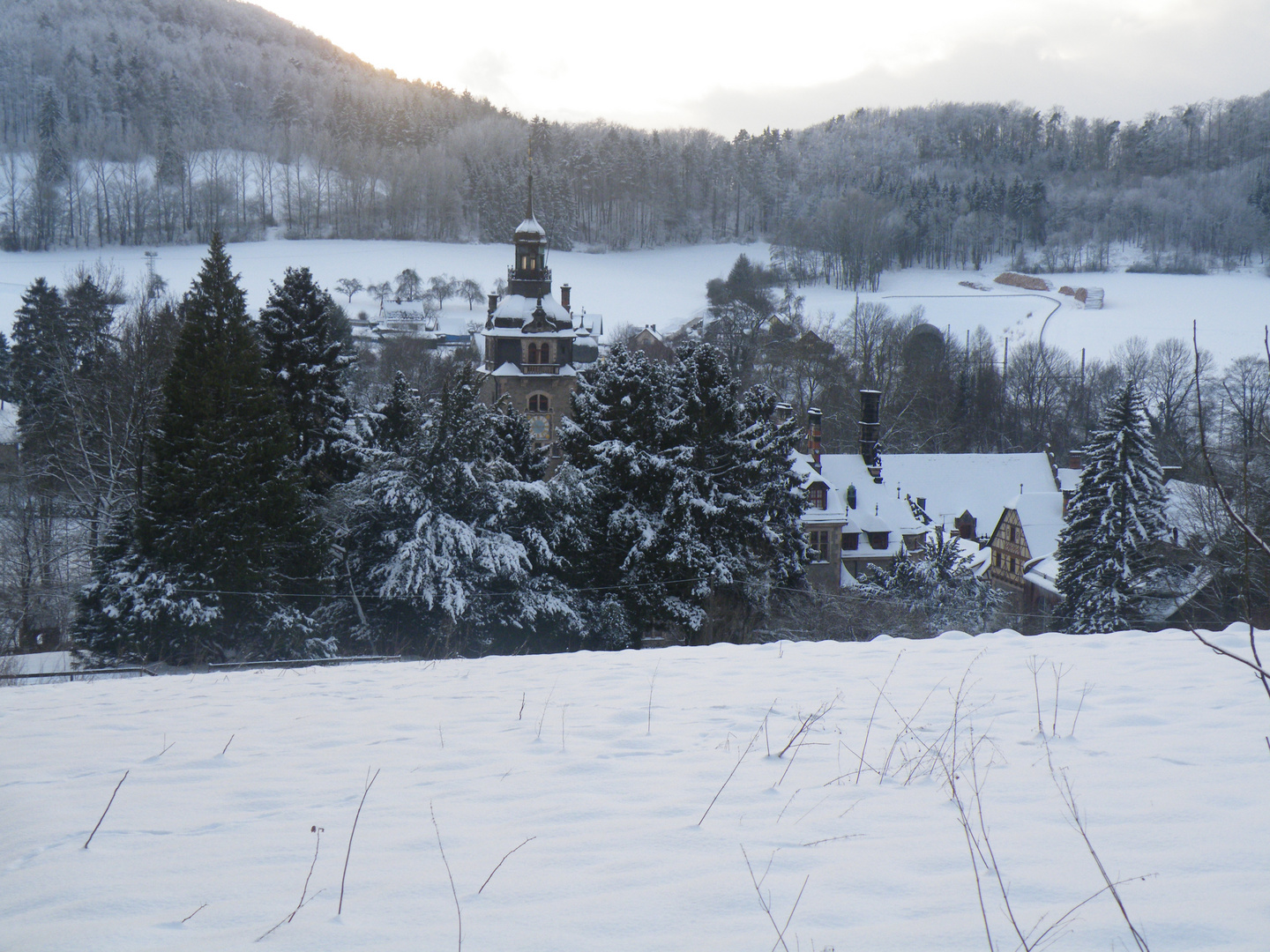 Schloss Ramholz Foto & Bild landschaft, kulturlandschaften, natur