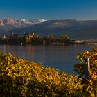 Schloss Rapperswil