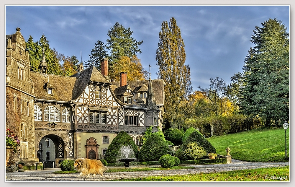 ~ Schloss Rauischholzhausen ~