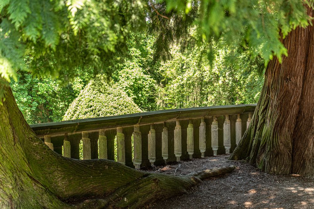 Schloss Rauischolzhausen in Hessen IV