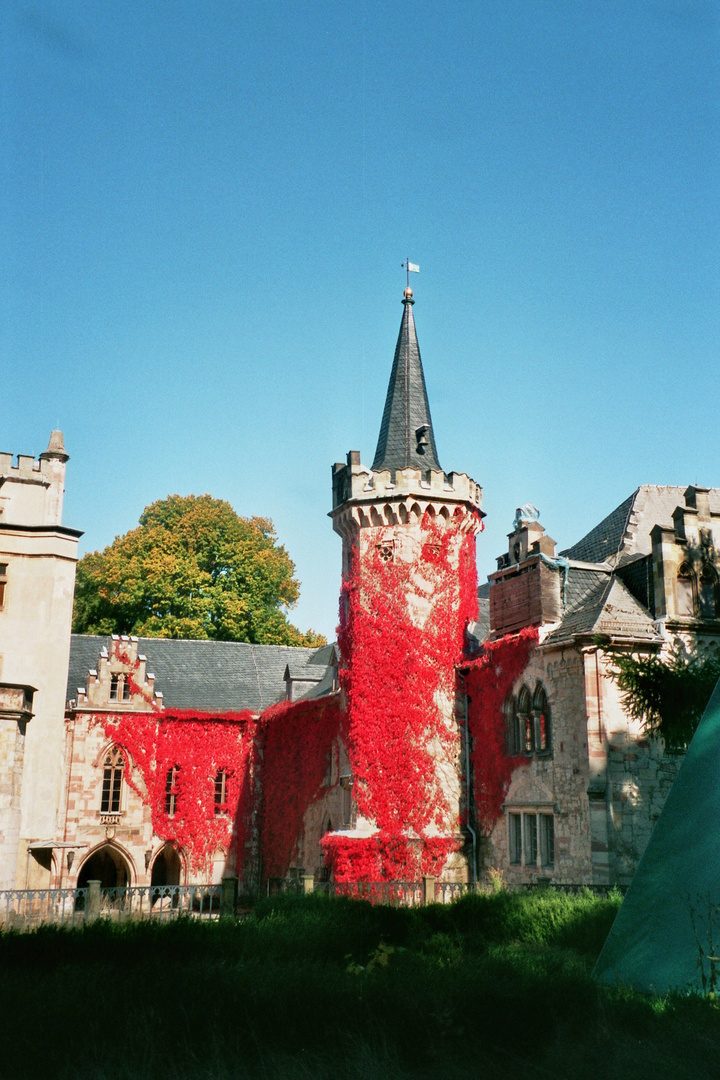 Schloß Reinhardsbrunn Thüringen Friedrichroda Bild 2