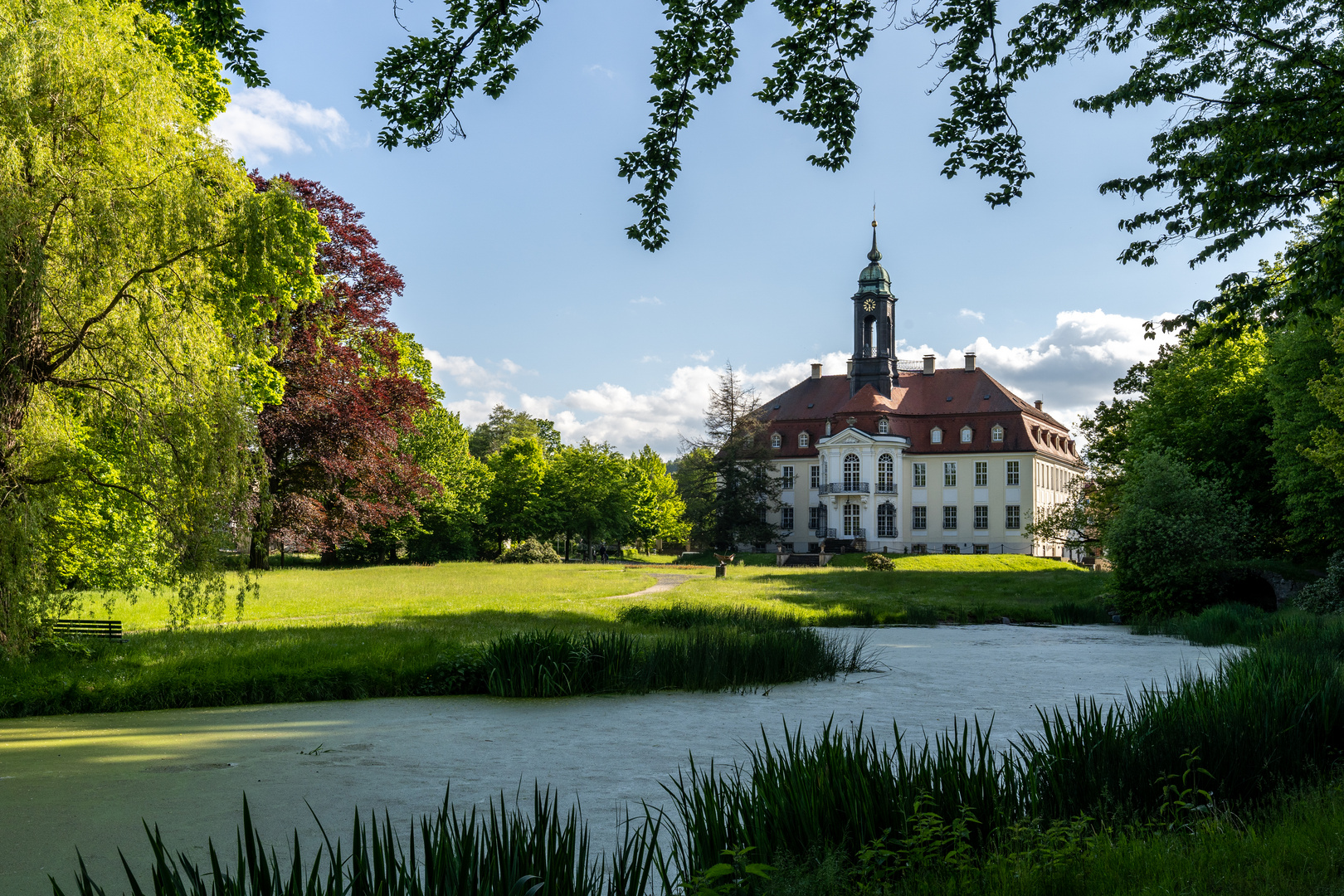 Schloss Reinhardtsgrimma 1