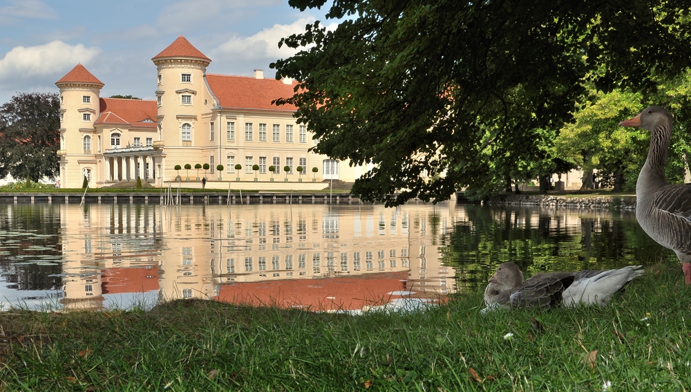 Schloss Rheinsberg............ und seine Graugänse