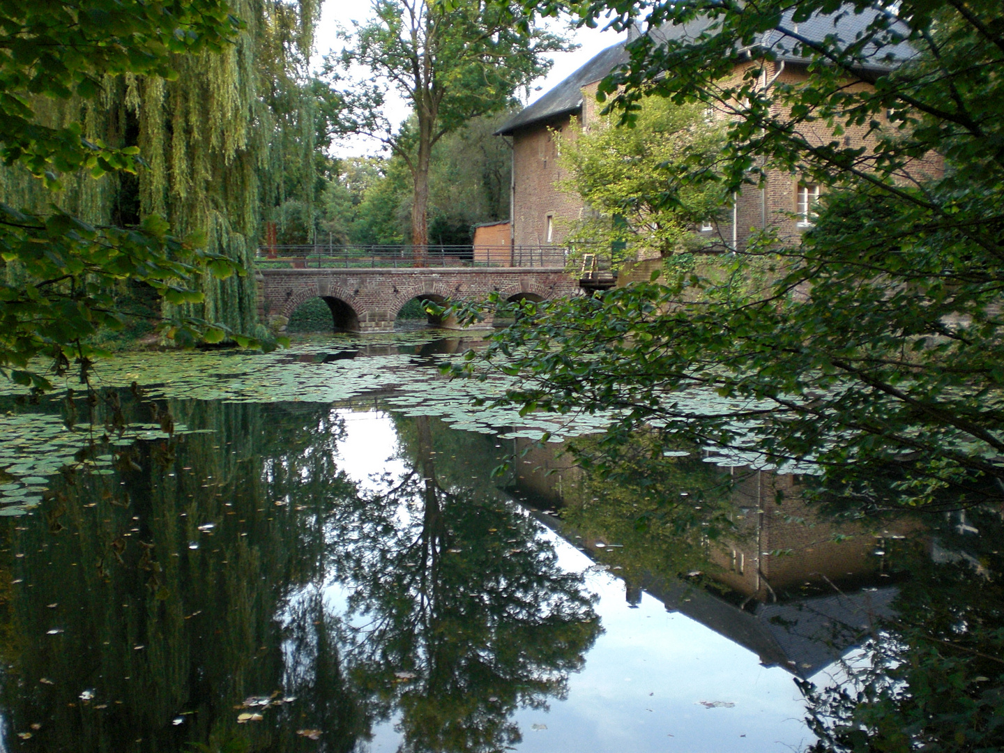 Schloß Rheydt / Gespiegelt