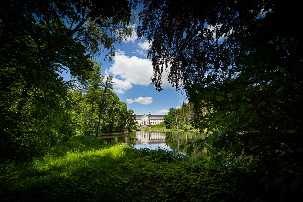 Schloss Ringelheim und Park