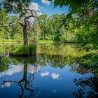 Schloss Ringelheim und Park