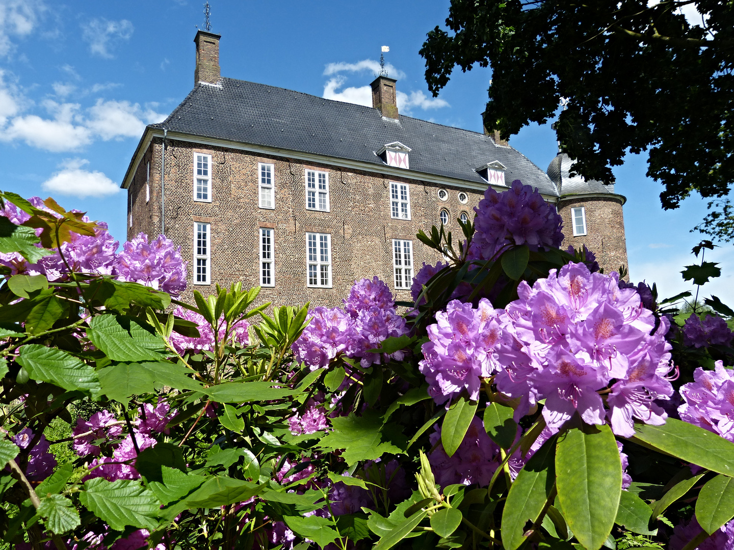 Schloss Ringenberg