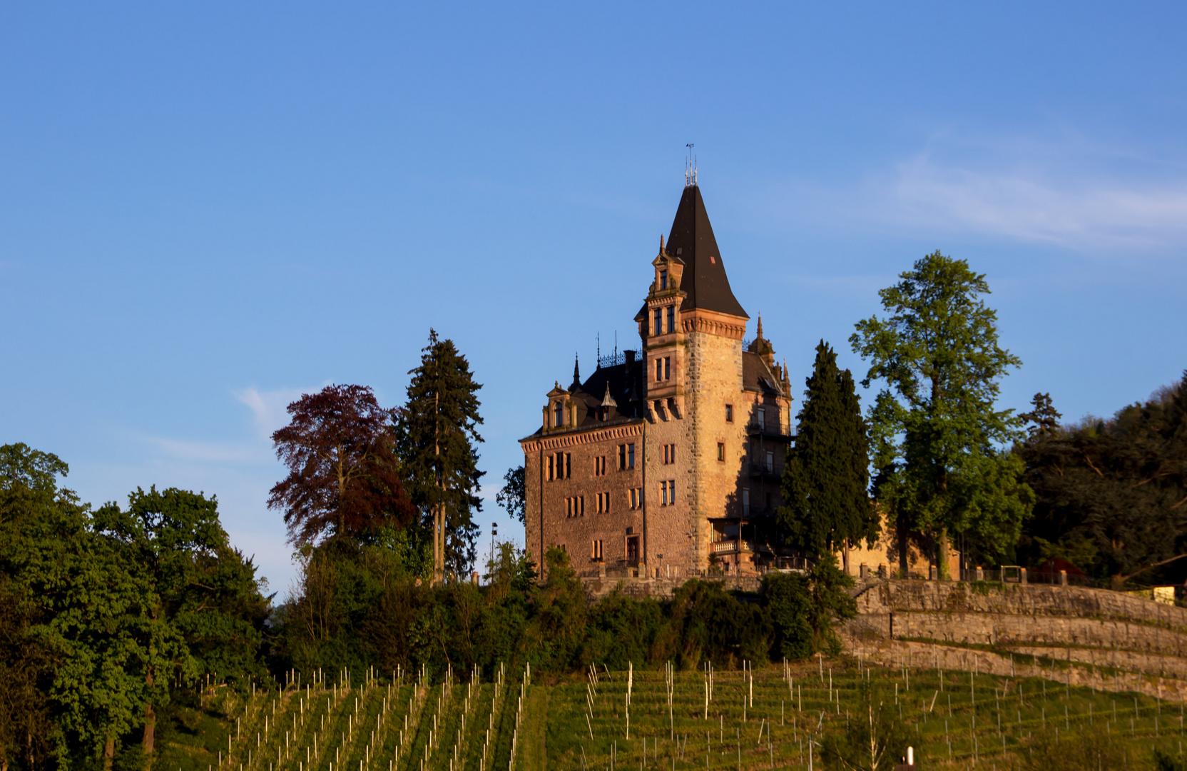 Schloss Rodeck