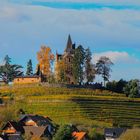 Schloss Rodeck