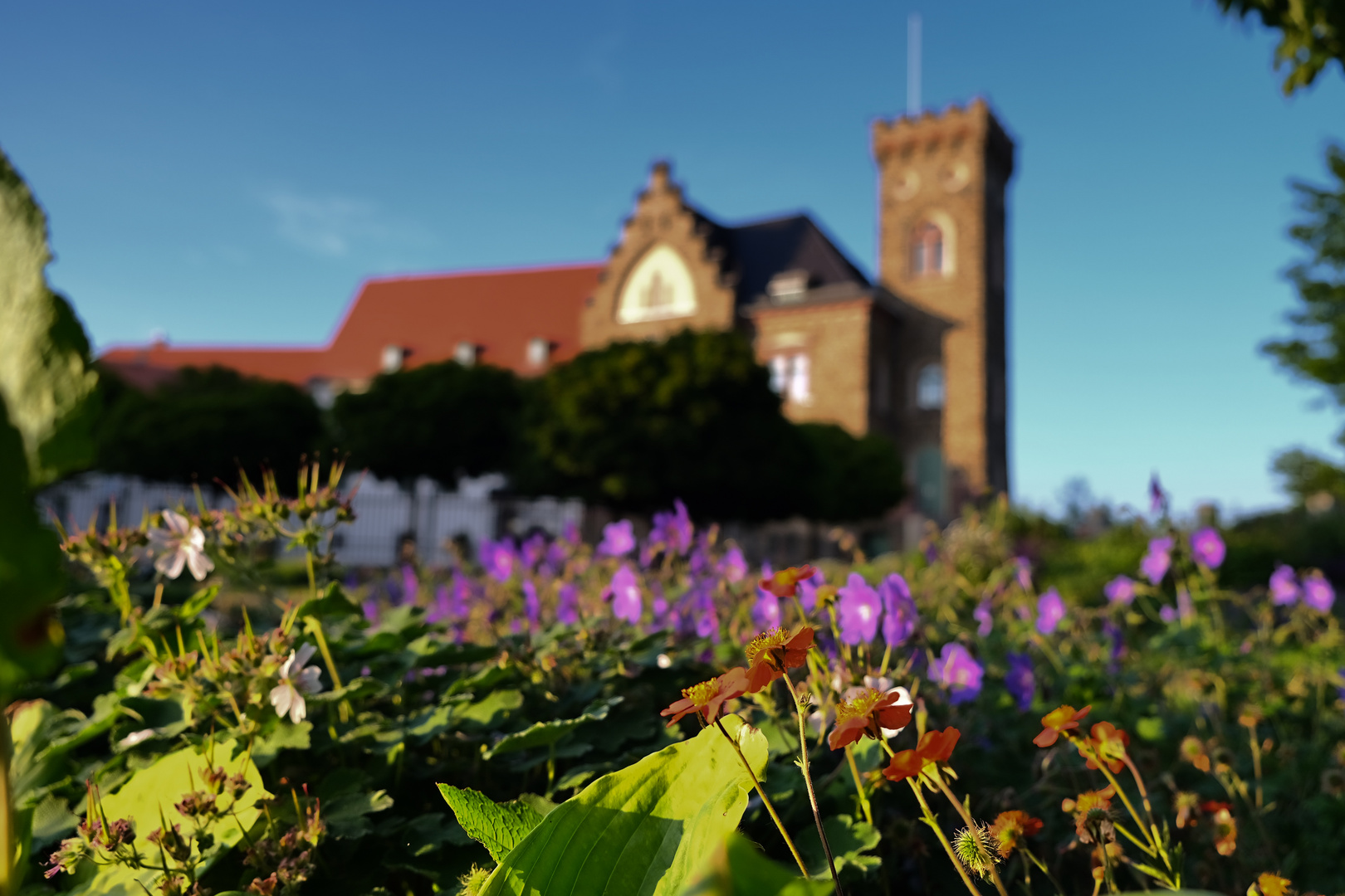 Schloss Ronneburg im Sommerblütenzauber 