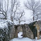 Schloß-Ruine