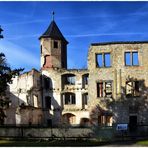 Schloss - Ruine Harbke 2