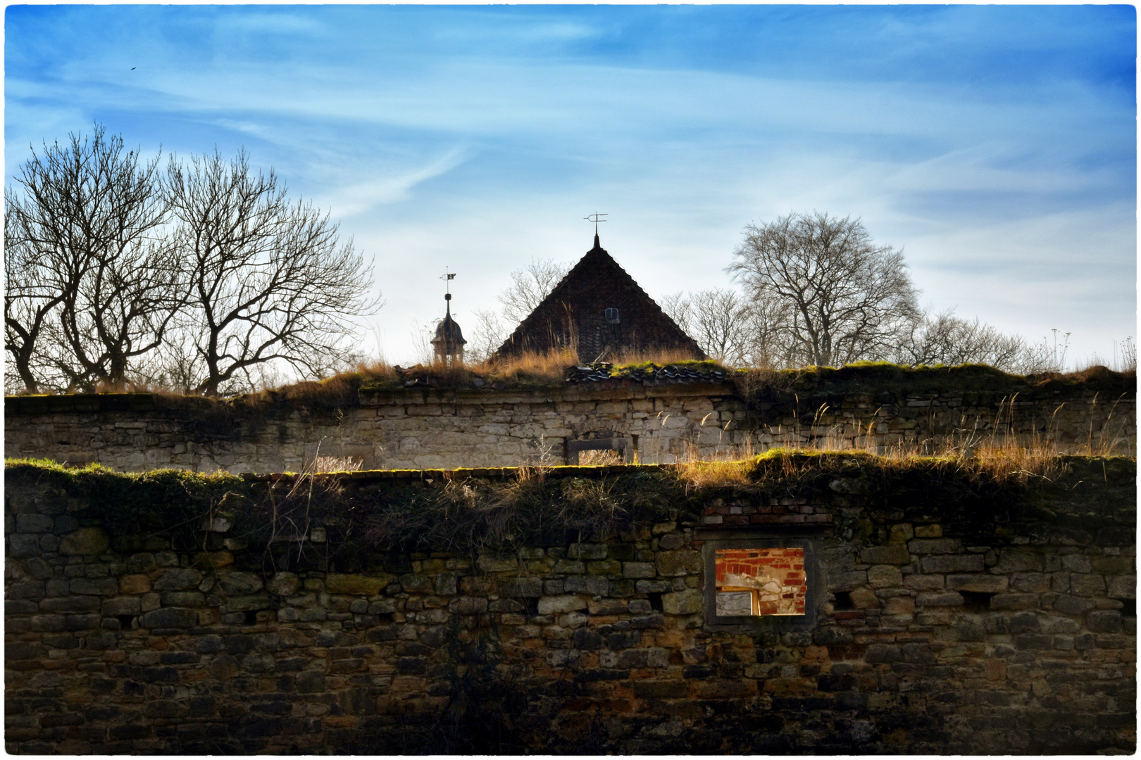 Schloss-Ruine Harbke 3