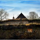 Schloss-Ruine Harbke 3