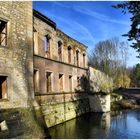 Schloss- Ruine Harbke 4