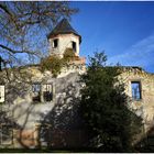 Schloss-Ruine Harbke 5