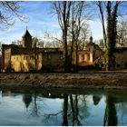 Schloss-Ruine Harbke  6