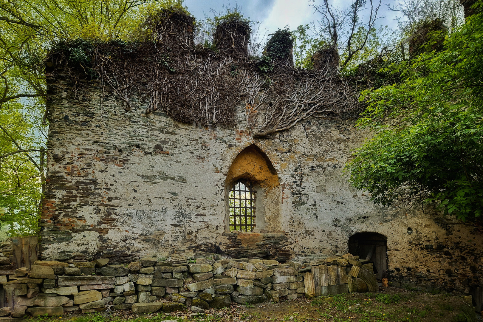 Schloss Ruine Hartenstein 
