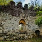 Schloss Ruine Hartenstein 