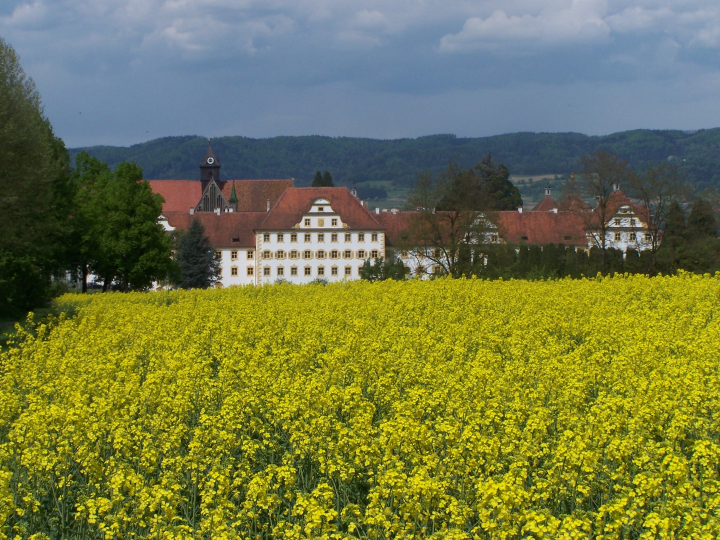 Schloss Salem