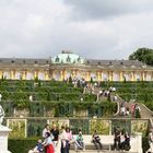 Schloss sans souci