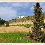 Schloss Sanssouci~~~~~~# 5