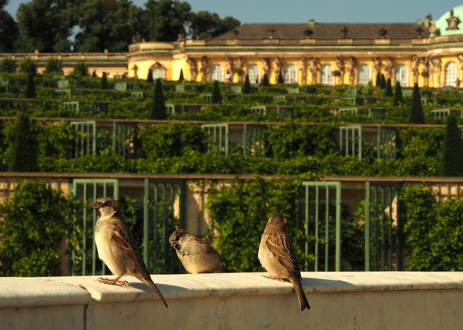 Schloss Sanssouci